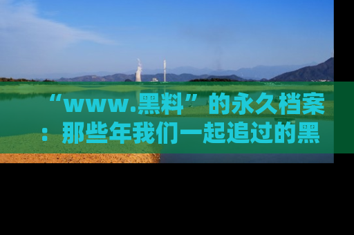 “www.黑料”的永久档案:那些年我们一起追过的黑料真相