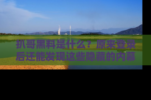 扒哥黑料是什么？原来登录后还能发现这些隐藏的内幕！