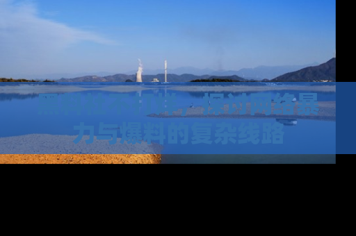 黑料社不打烊，探讨网络暴力与爆料的复杂线路