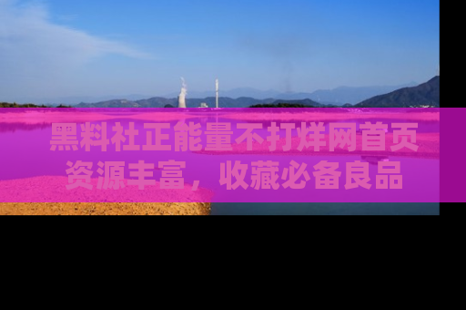 黑料社正能量不打烊网首页资源丰富，收藏必备良品