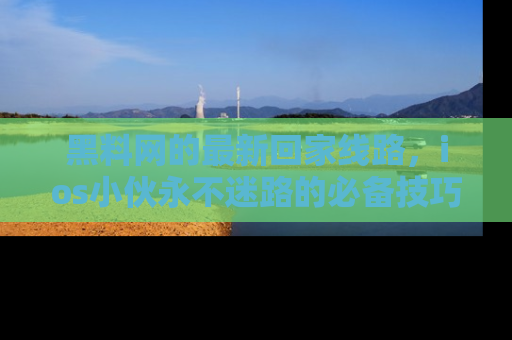 黑料网的最新回家线路，ios小伙永不迷路的必备技巧！