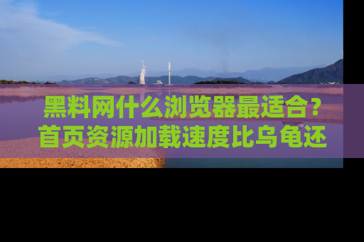 黑料网什么浏览器最适合？首页资源加载速度比乌龟还慢的体验真心吐槽！