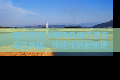 精品收藏冲哥黑料精选首页麻豆导航，快速找到最新爆料