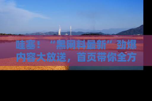 哇塞!“黑网料最新”劲爆内容大放送,首页带你全方位了解哦,小可爱们