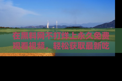 在黑料网不打烊上永久免费观看视频，轻松获取最新吃瓜资讯！