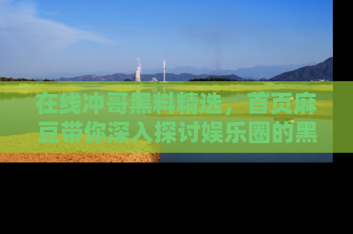 在线冲哥黑料精选，首页麻豆带你深入探讨娱乐圈的黑暗面