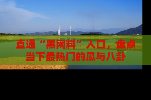 直通“黑网料”入口,盘点当下最热门的瓜与八卦