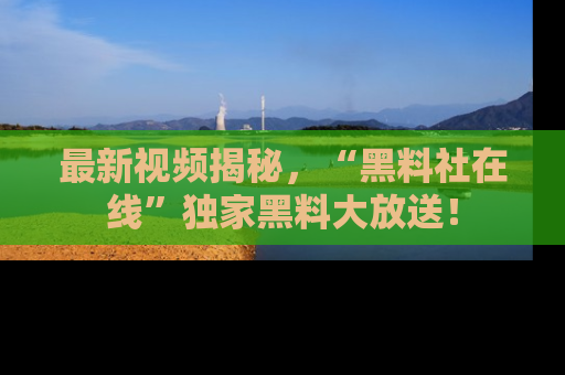 最新视频揭秘,“黑料社在线”独家黑料大放送!